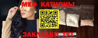 бошки Кингисепп