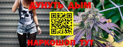 бошки Кингисепп