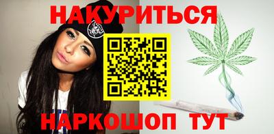 бошки Кингисепп