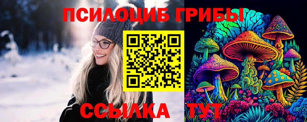 Псилоцибиновые грибы прущие грибы Кропоткин